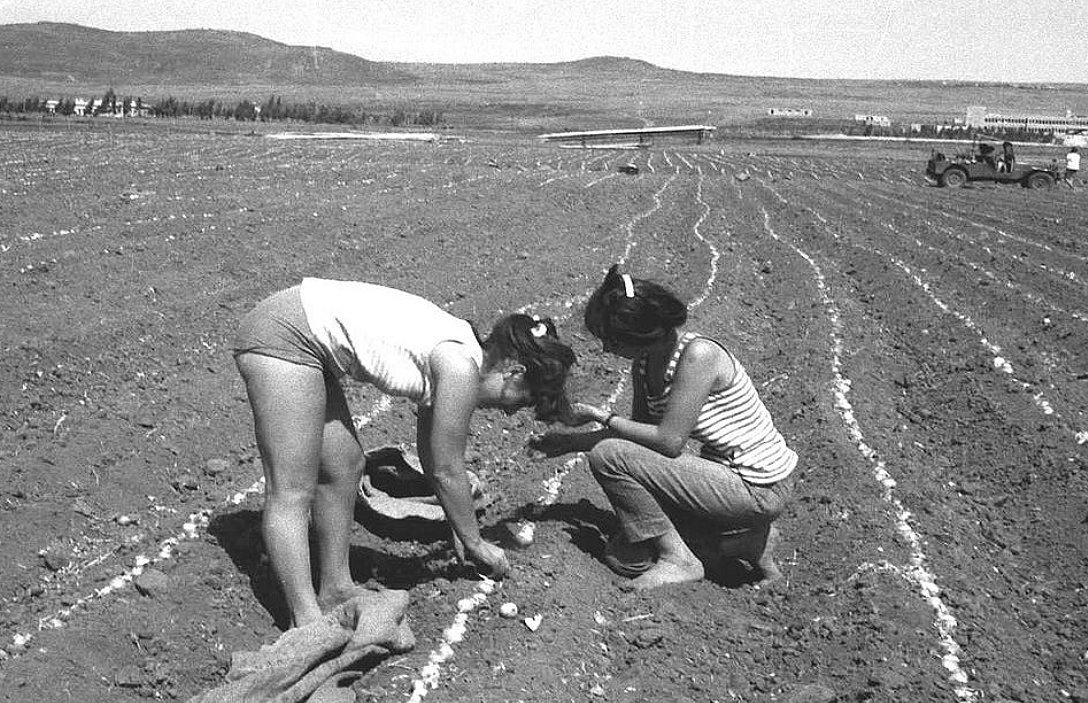 Netafim e l’irrigazione a goccia