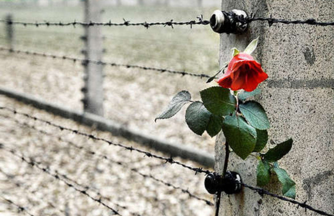 Il 27 gennaio Memoria e futuro, giornata per la vita degli ebrei di oggi