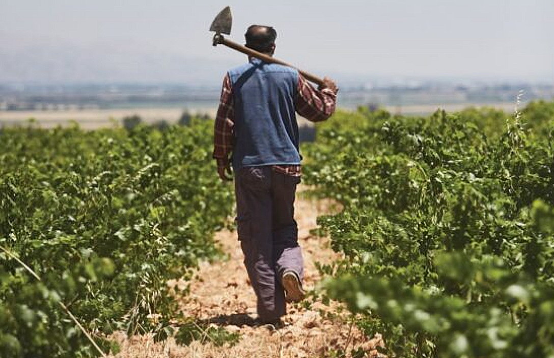 Libano. Hezbollah travestito da contadino, Israele costretto alla pazienza armata