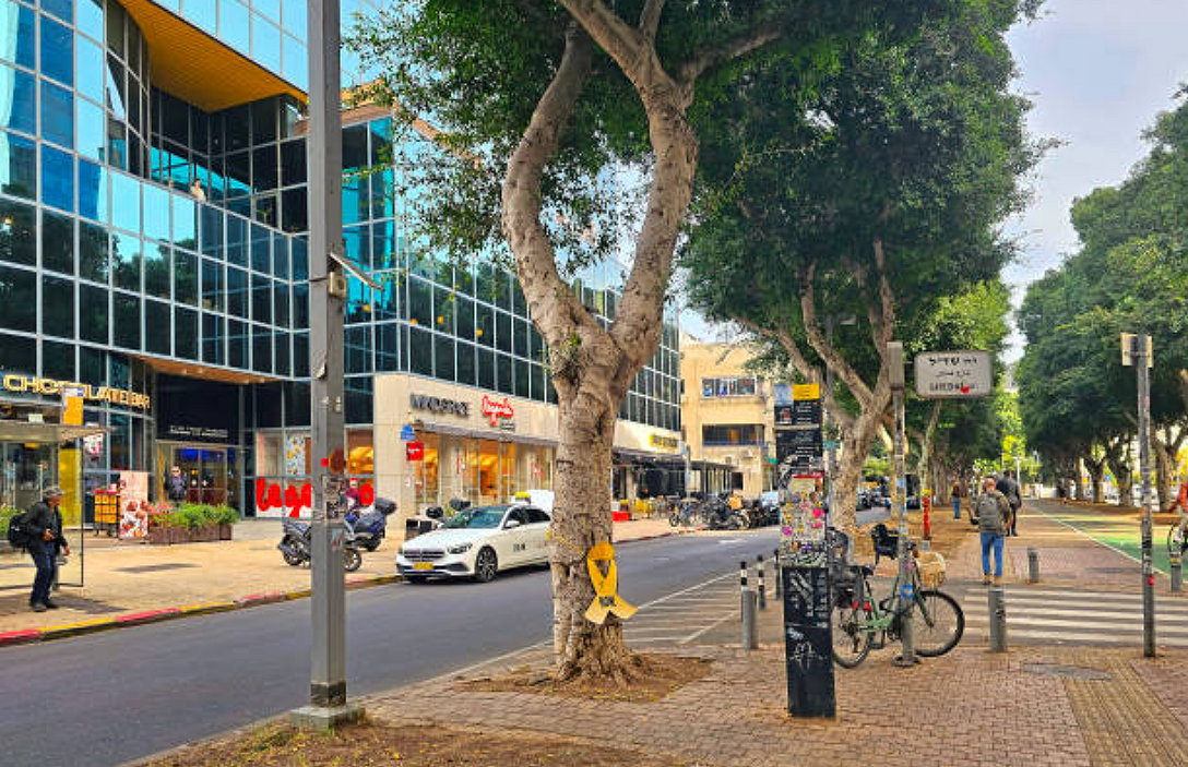 Il mosaico che smentisce la menzogna