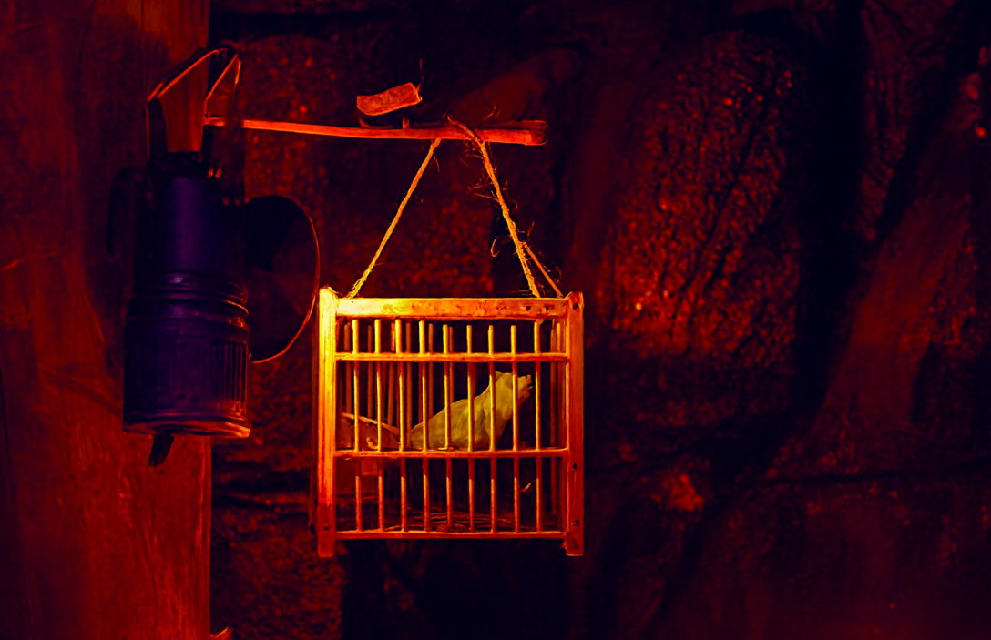 Il PD e il canarino nella miniera