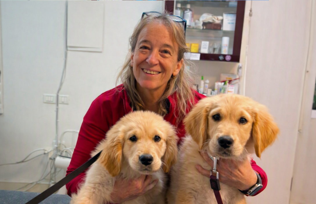 Premio alla veterinaria israeliana che salvava gli animali sotto il fuoco